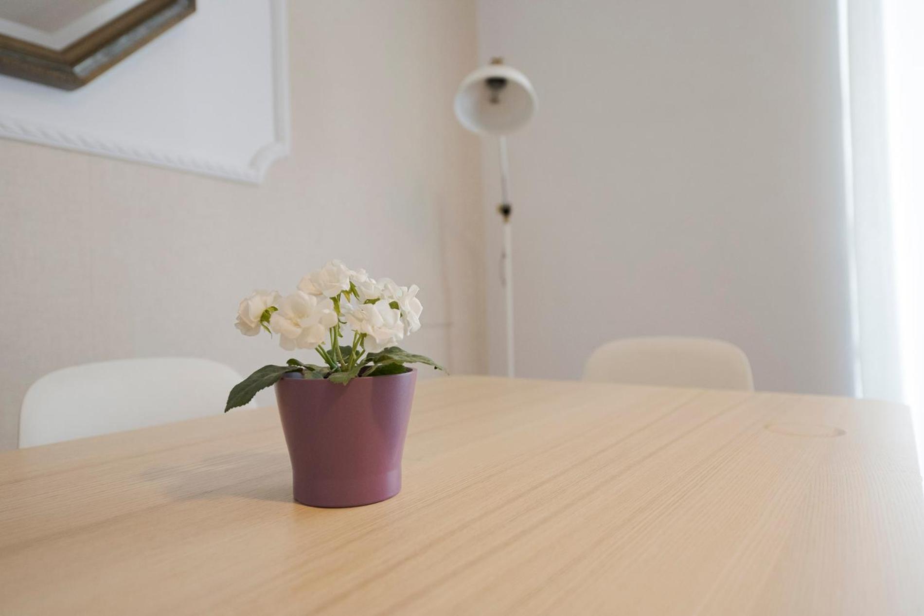 Apartamento Victoria En El Centro De San Sebastián Exteriér fotografie